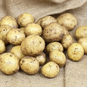 Sättpotatis Twister 3 kg