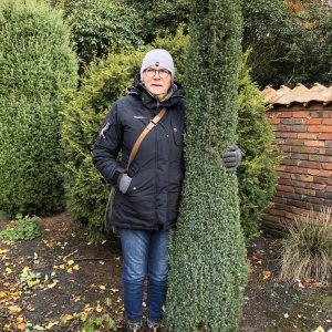 Juniperus communis Sentinel 80-100 kl Pelaren